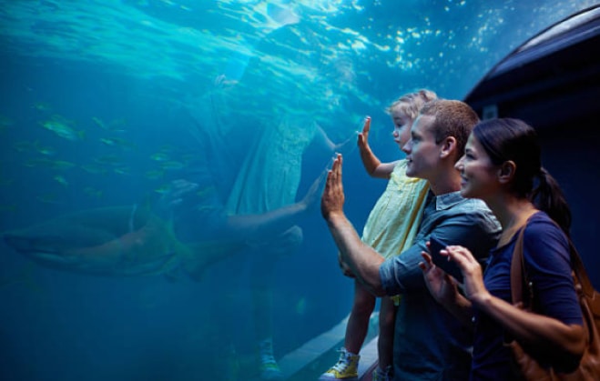 Tbilisi Business Centre Aquariums