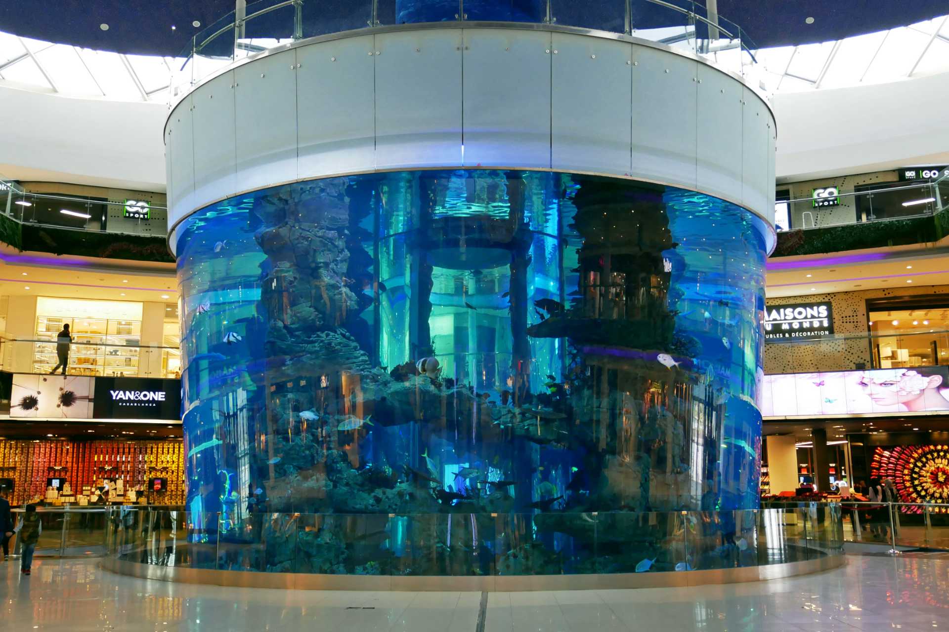 Aquarium Operations